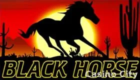 black horse w polskich kasynach online